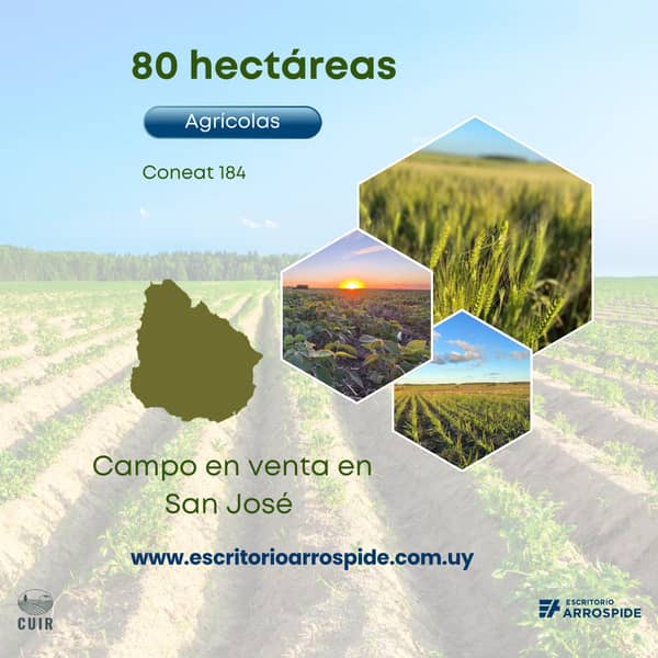 80 hectáreas. Agrícola en San José Uruguay